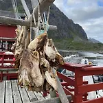 Lofoten Aurora Oceanfront 罗弗敦极光海景度假屋 *