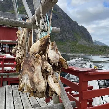 Lofoten Aurora Oceanfront 罗弗敦极光海景度假屋 *