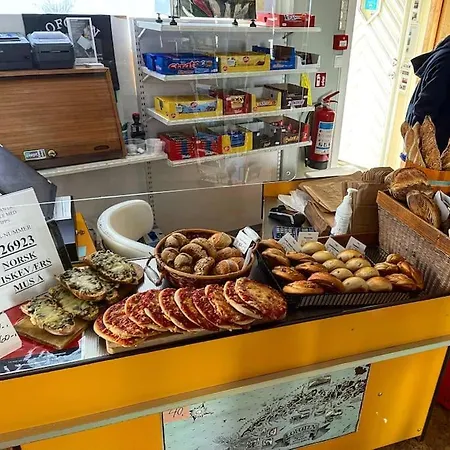 公寓 Lofoten Aurora Oceanfront 罗弗敦极光海景度假屋 莫斯克内斯