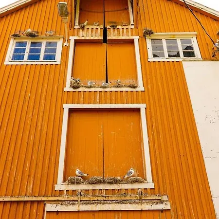 Lofoten Aurora Oceanfront 罗弗敦极光海景度假屋 公寓