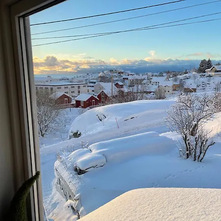 Lofoten Aurora Oceanfront 罗弗敦极光海景度假屋 Moskenes