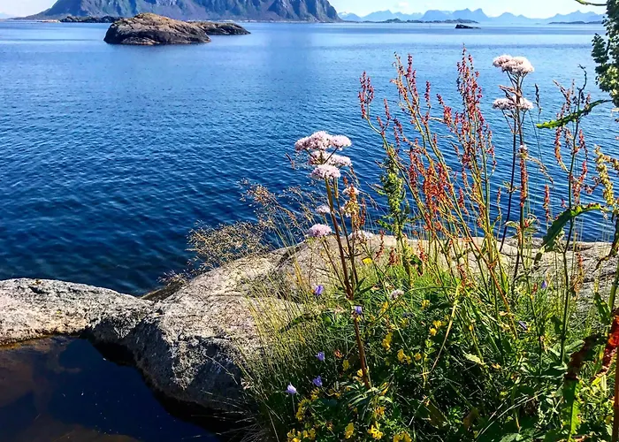 Lofoten Aurora Oceanfront 罗弗敦极光海景度假屋 Appartamento Moskenes