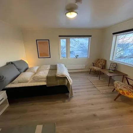 アパート Lofoten Aurora Oceanfront 罗弗敦极光海景度假屋 *
