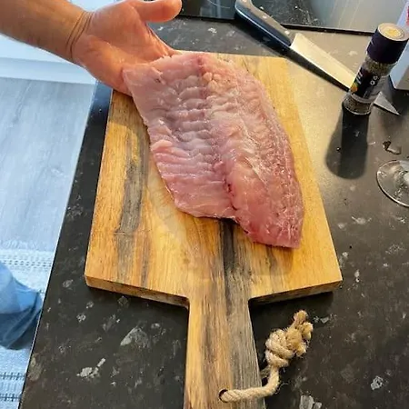 Lofoten Aurora Oceanfront 罗弗敦极光海景度假屋 * モスケネス