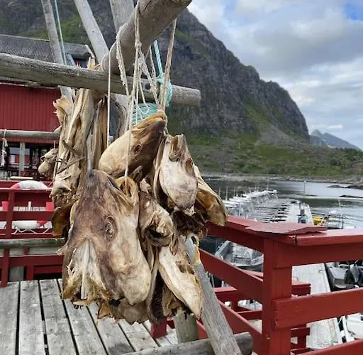 Lofoten Aurora Oceanfront 罗弗敦极光海景度假屋 *