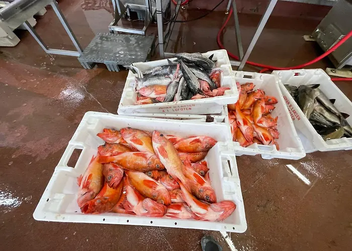 Lägenhet Lofoten Aurora Oceanfront 罗弗敦极光海景度假屋