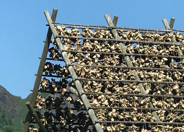 Lofoten Aurora Oceanfront 罗弗敦极光海景度假屋 Lägenhet